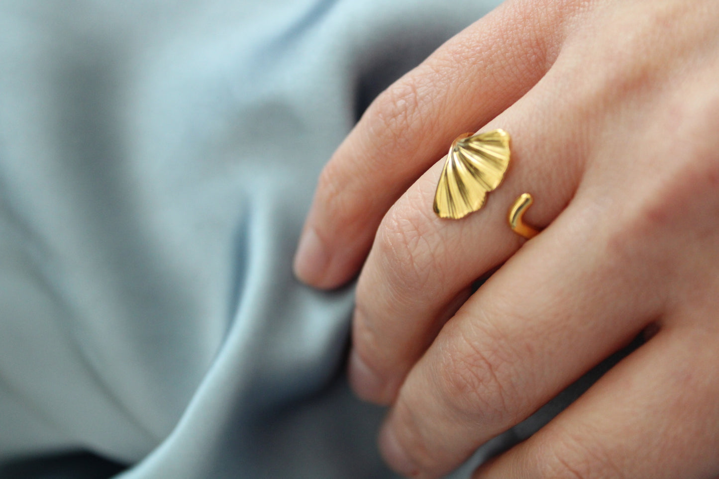 Bague Raja